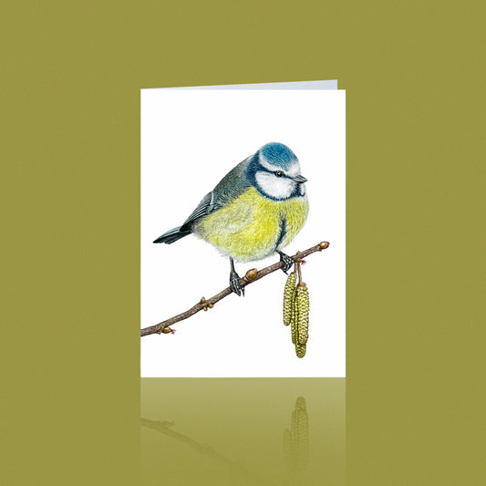 Aikona Illustration Klappkarte Meisen