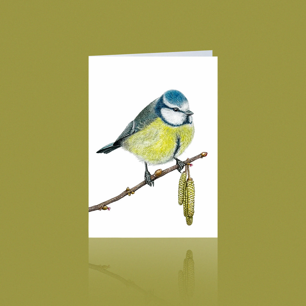 Aikona Illustration Klappkarte Meisen