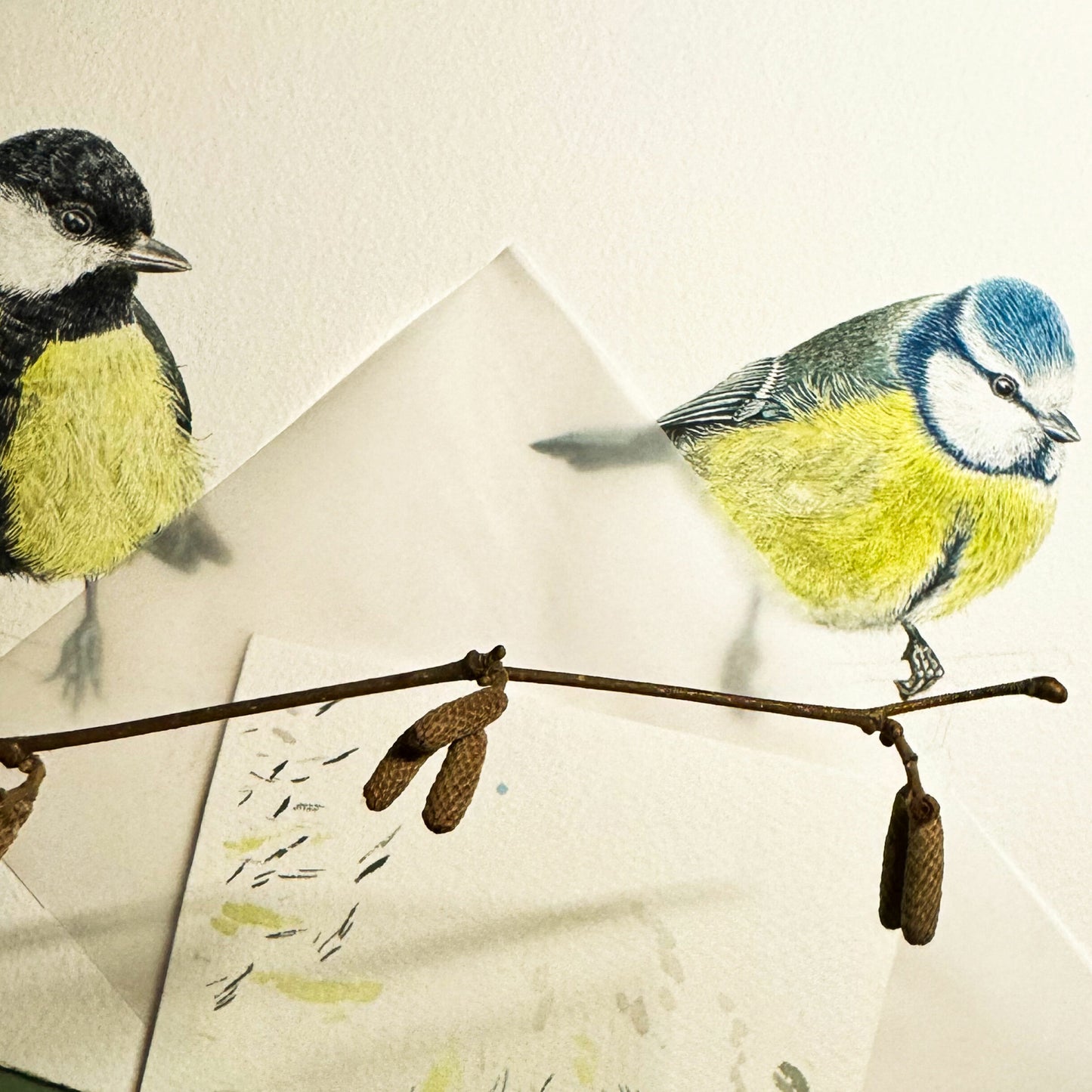 Aikona Illustration Klappkarte Meisen