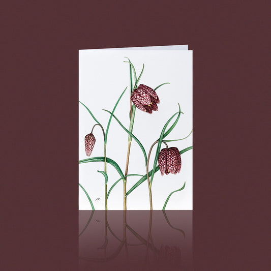 Aikona Illustration Klappkarte Schachbrettblume