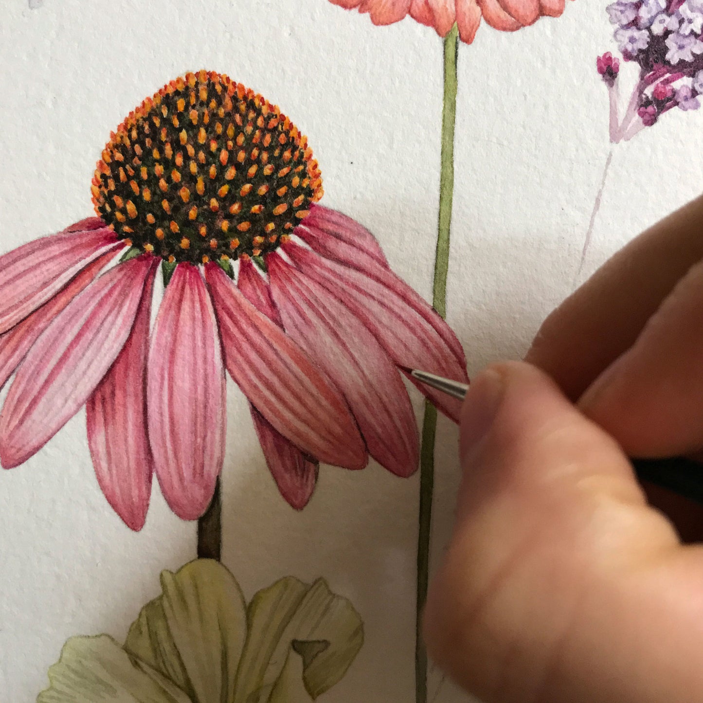 Aikona Illustration Klappkarte Sommerblumen