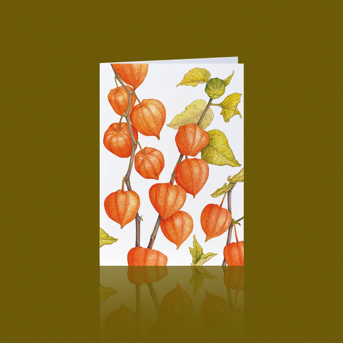 Aikona Illustration Klappkarte Lampionblume