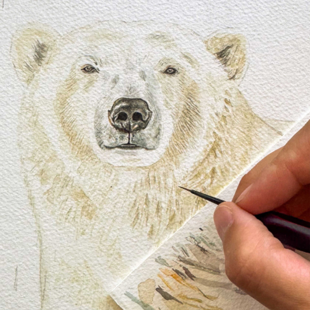 Aikona Illustration Grußkarte Eisbär