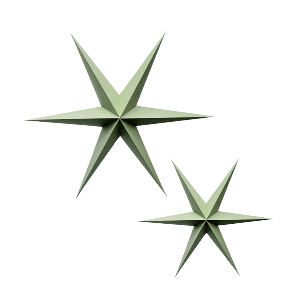 Delight Department Weihnachtsstern 2er-Set jadegrün