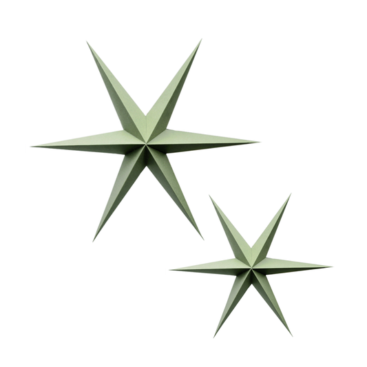 Delight Department Weihnachtsstern 2er-Set jadegrün