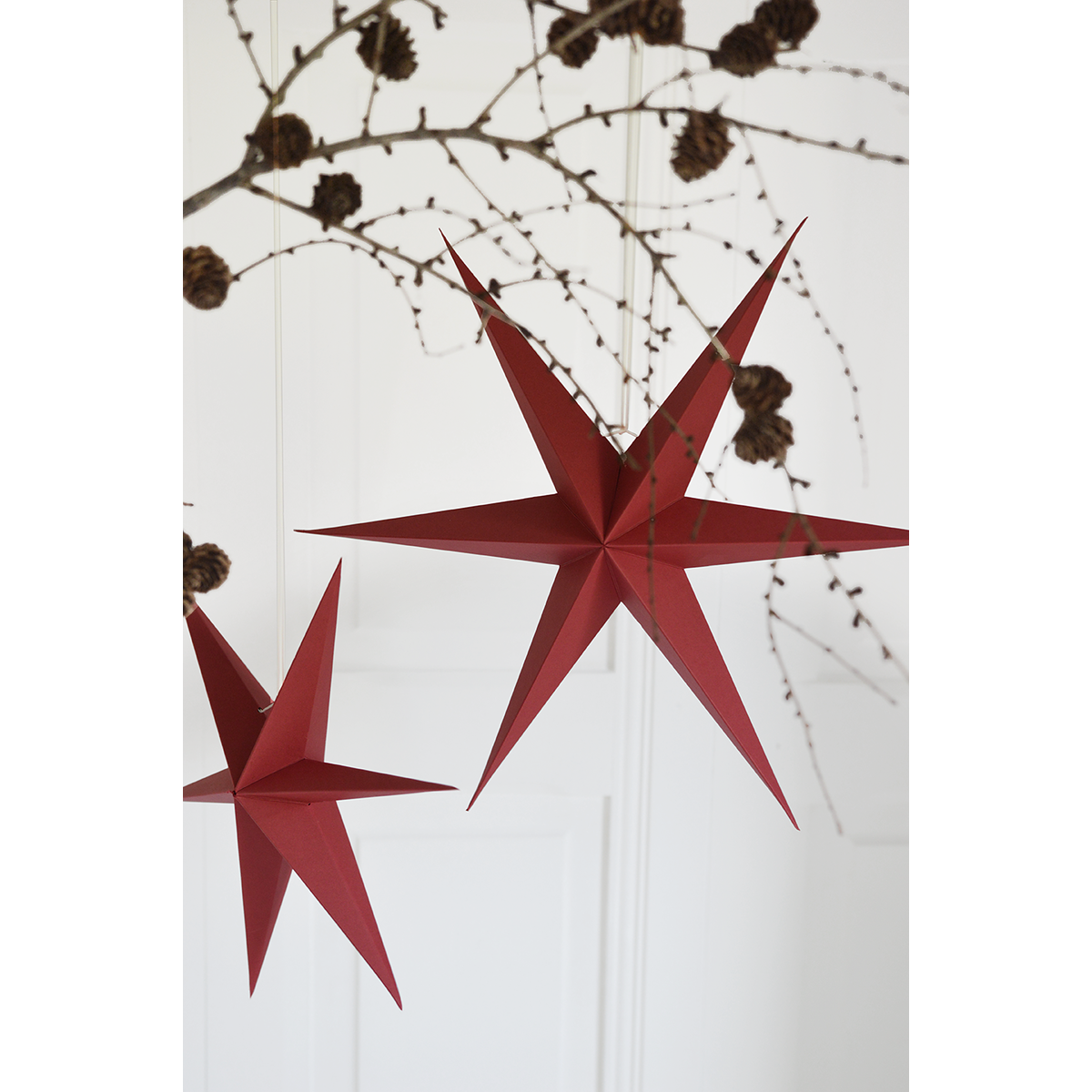 Delight Department Weihnachtsstern 2er-Set winterrot