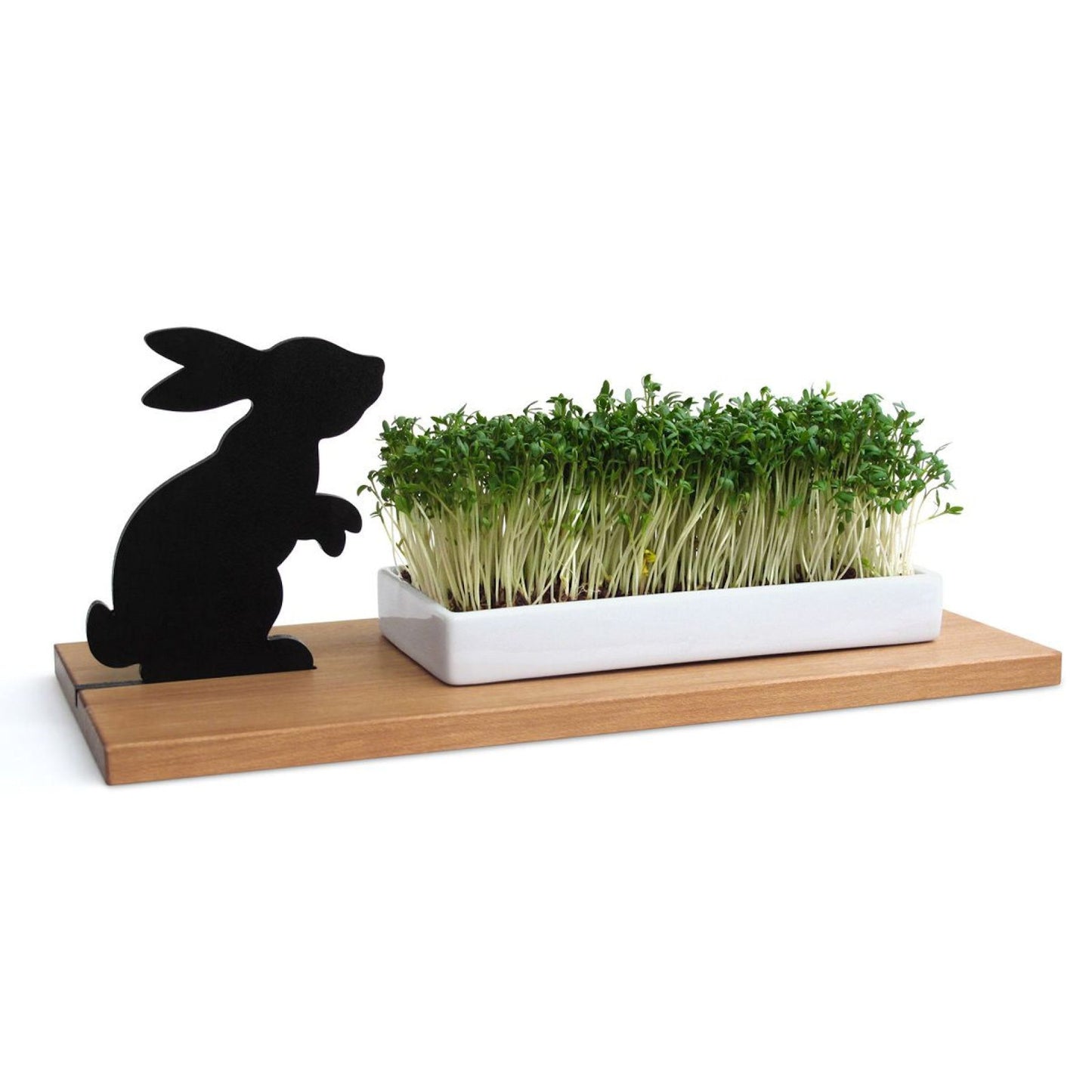 side by side Design Kresseschale smart 'n' green Hase