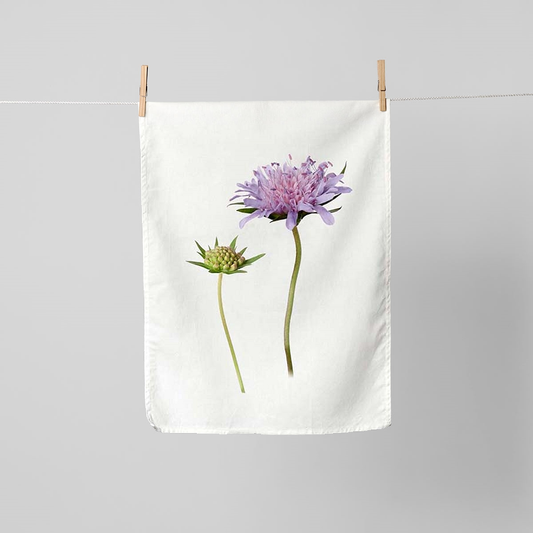 Simply Flowers Geschirrtuch Acker-Witwenblume