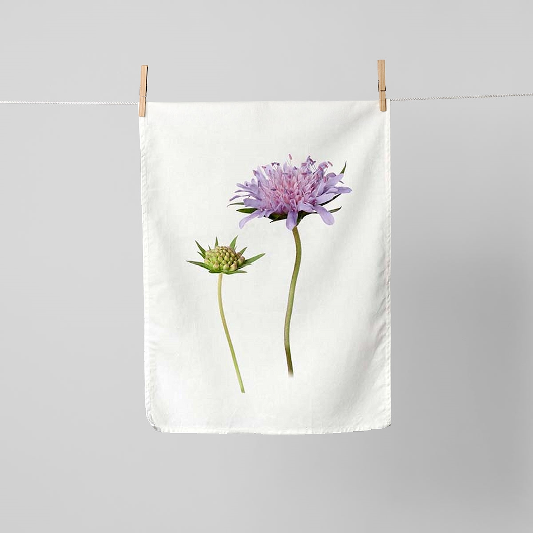 Simply Flowers Geschirrtuch Acker-Witwenblume