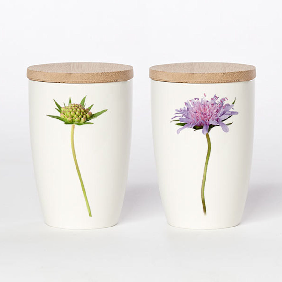 Simply Flowers Becher Acker-Witwenblume - groß