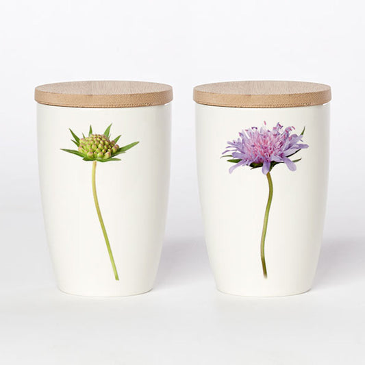 Simply Flowers Becher Acker-Witwenblume - groß